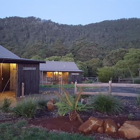 Rustic Hut Bush Retreat Bed & Breakfast Penguin Ngoại thất bức ảnh
